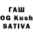 Псилоцибиновые грибы GOLDEN TEACHER Vanya Klumchak
