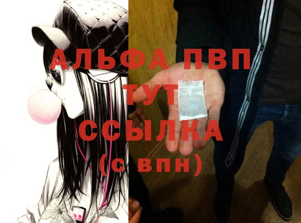 СК Алексин