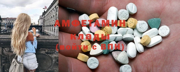 СК Алексин