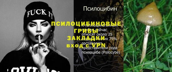 СК Алексин