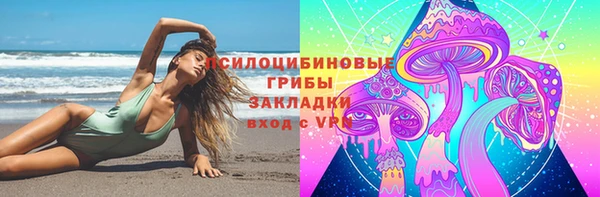 прущие крисы Алексеевка