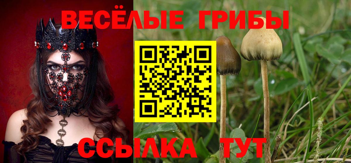 Псилоцибиновые грибы мухоморы  Галлюциногенные грибы мицелий  Вход с VPN  Дедовск 